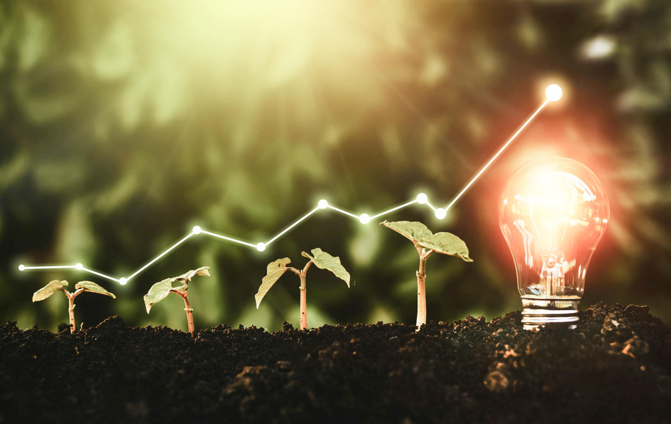 Venture Investment & Development