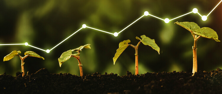 Venture Investment & Development