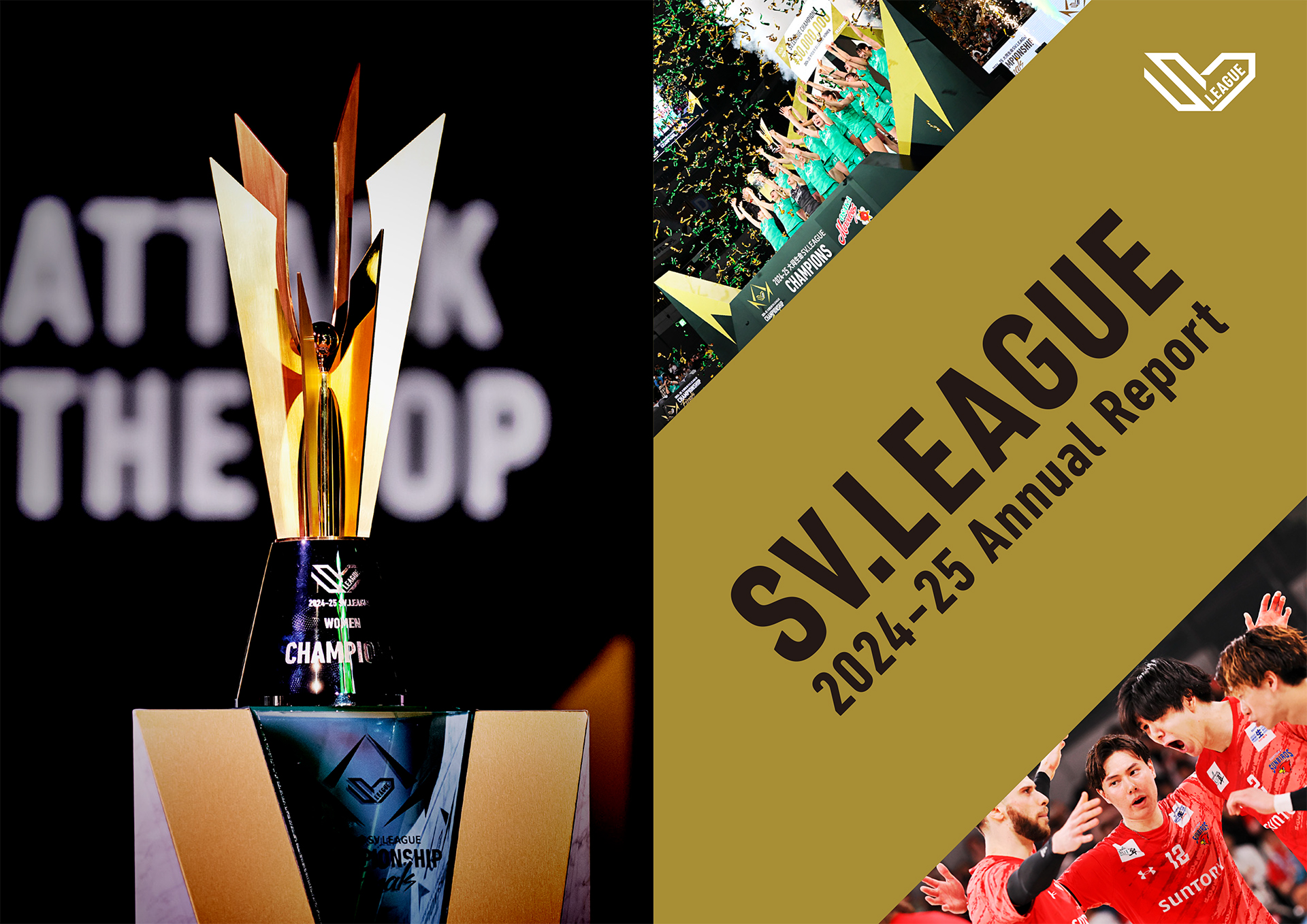 スカイライト コンサルティング、 2024-25 大同生命SV.LEAGUE 初年度のアニュアルレポートを作成・公開
